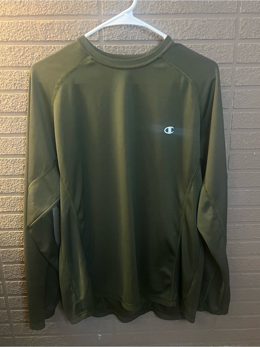 Champion Double Dry Olive Crewneck Shirt
